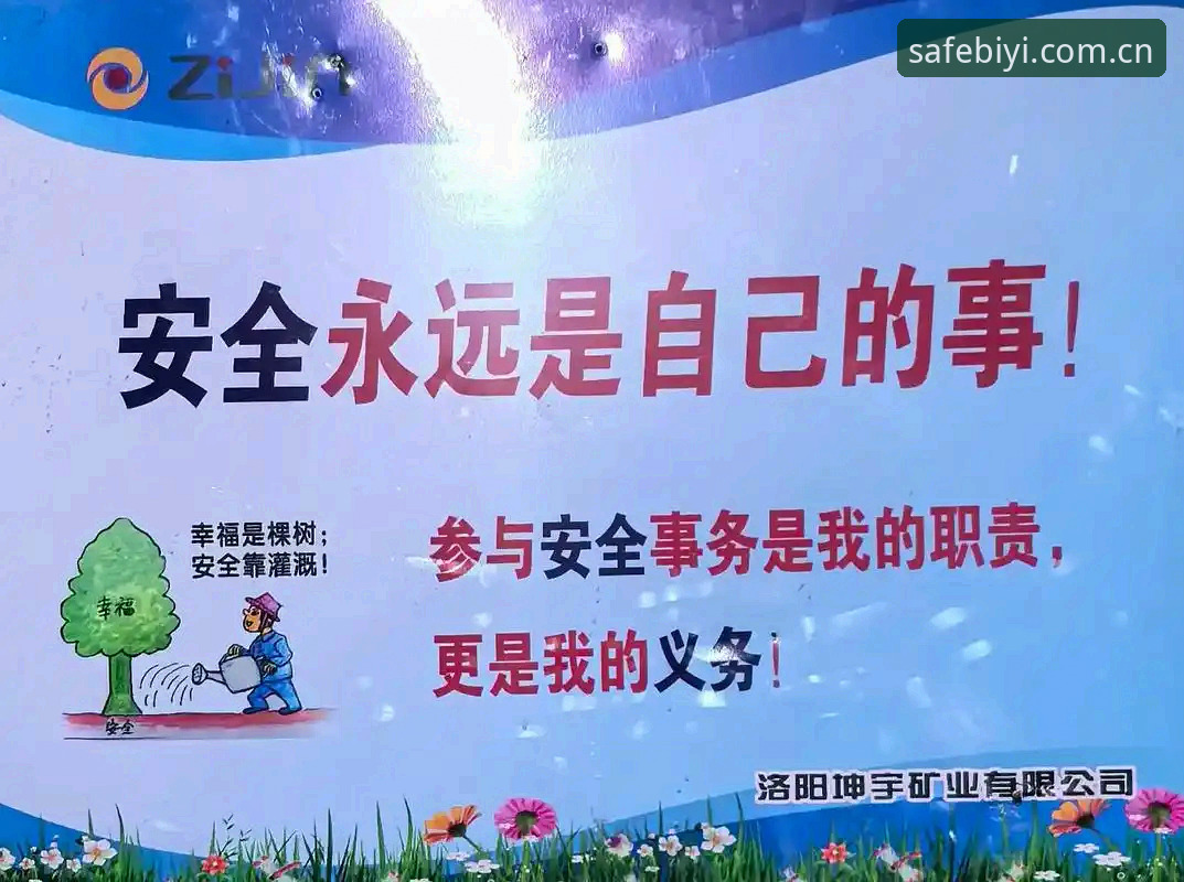 必一体育官网2025安全吗 必一体育官网2025安全吗?传统入口与创新直达方案的全面对比